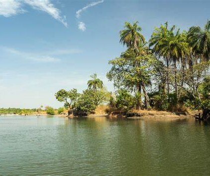 River Gambia National Park